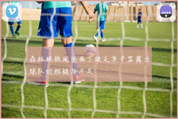 森林狼热闹场面下缺乏华子显露出球队的粗糙与不足