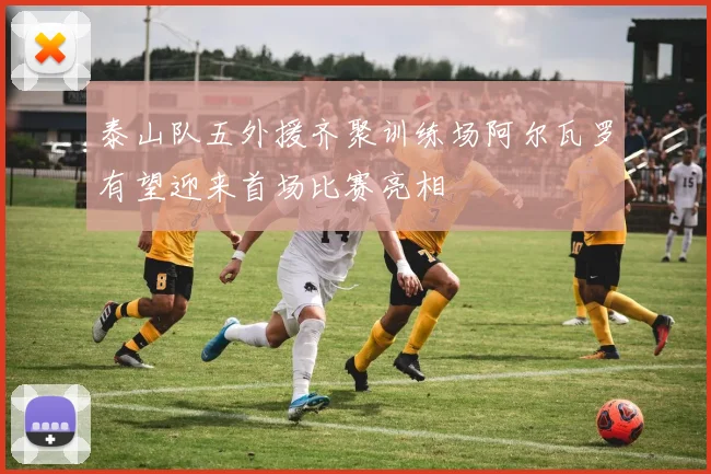 泰山队五外援齐聚训练场阿尔瓦罗有望迎来首场比赛亮相